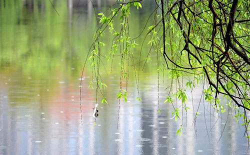 【兰州东峰塑料加工厂】雨天温馨提示